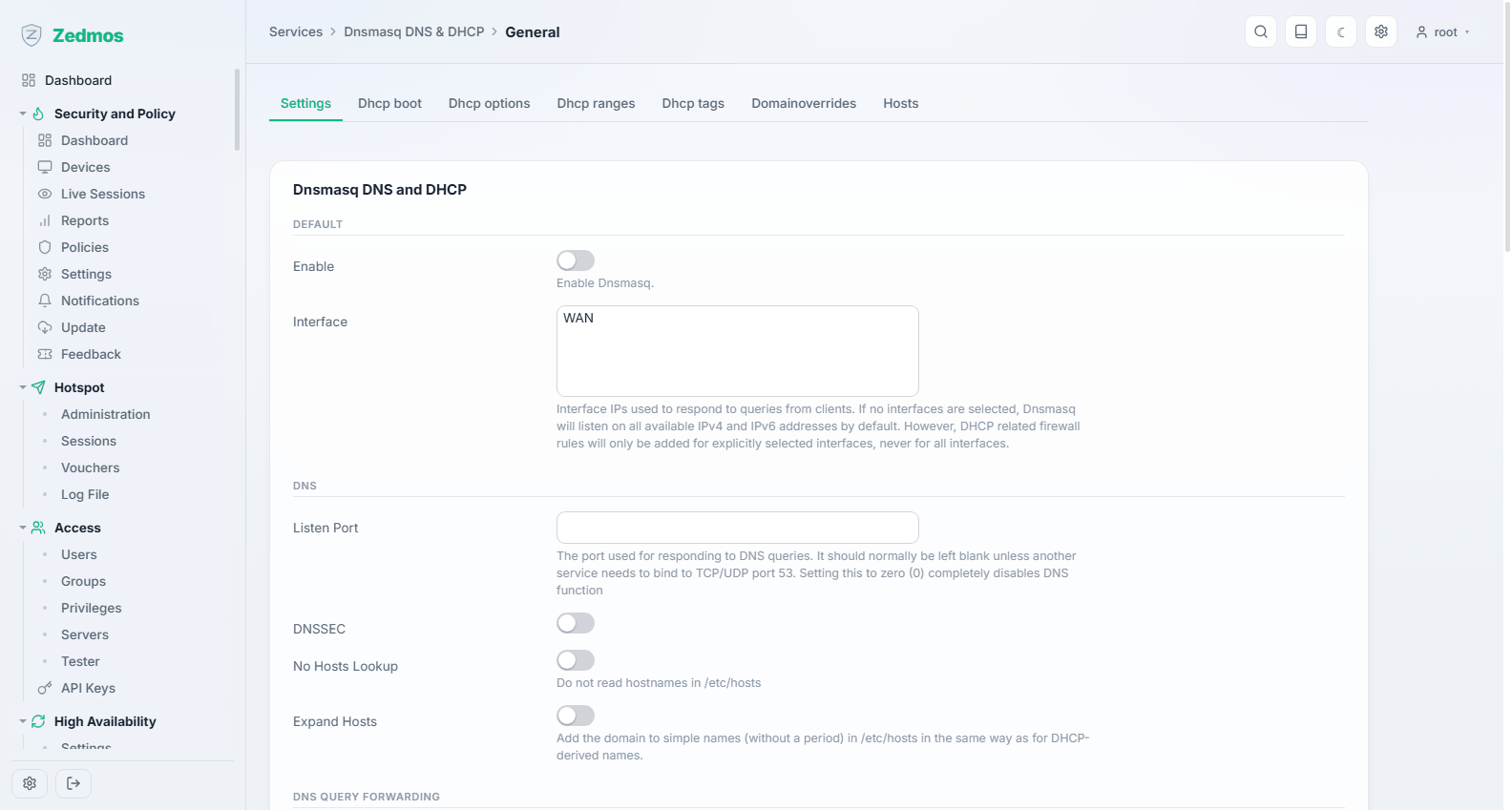 Services: Dnsmasq allgemein